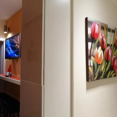 Contactless Self Check-In Mini Apartment And Terrace Apartment Aachen